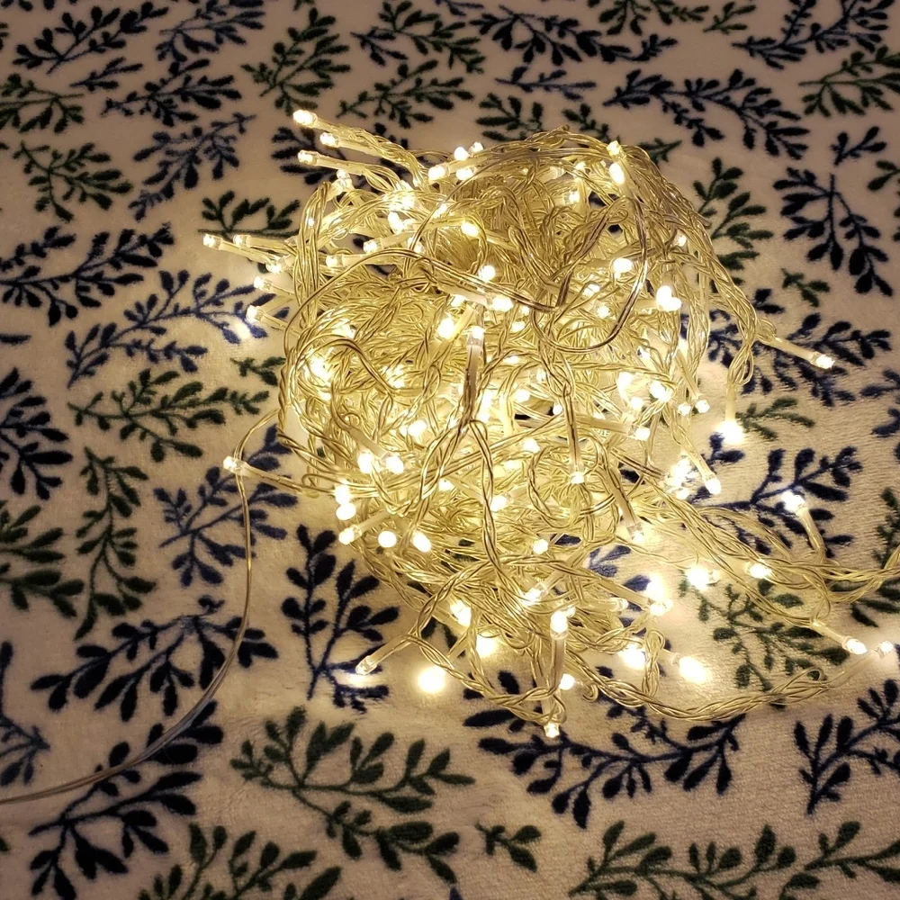 Source Unknown Soft White Holiday String Lights